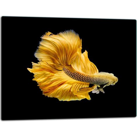Glasschneidebrett 52x40 Fisch (1/5)