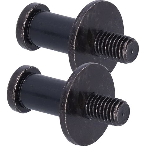 Paquete de 2 tornillos de fijación para pestillo de puerta - Muy alta resistencia a la corrosión