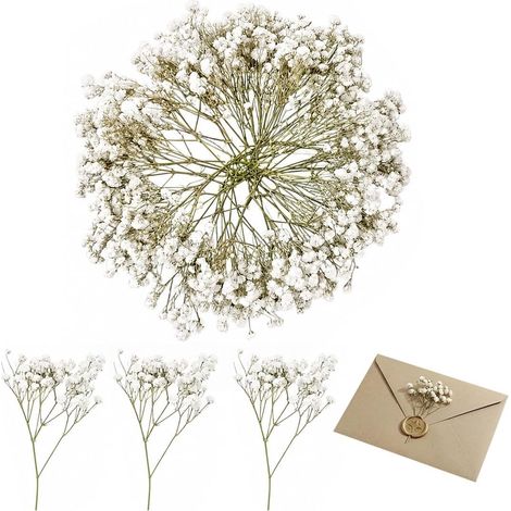 50 Pcs Bouquet Fleurs Séchées Gypsophile, Branches Naturelles pour Art Résine DIY Mariage Décoration Gâteau et Carte (1/5)