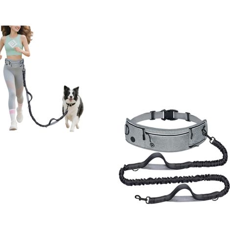 Laisse Canicross Chien, Laisse Main Libre pour Chiens, Longe de Jogging Élastique 145-200cm, Anti-tirons, Réfléchissant, Ceinture Réglable, Double Poignée pour Course à Pied, Marche (1/5)