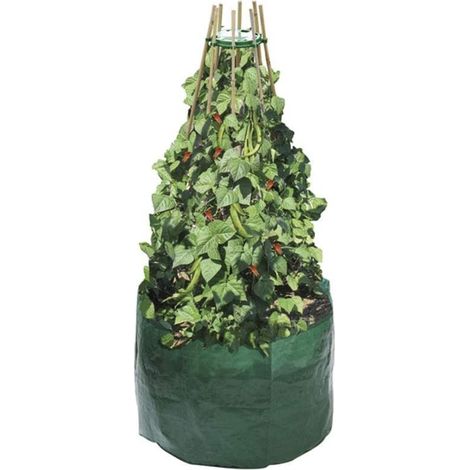 Plant Bag 61cm For Bean And Pea Polyethylene Large Green Garland (1/4)
