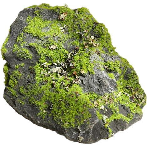 Mousse artificielle réaliste légère plusieurs tailles - pour bassin jardin terrarium et aquarium (1/5)