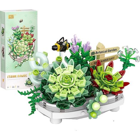 Kit de création de bouquets de succulentes à faire soi-même pour adultes et adolescents (1/5)