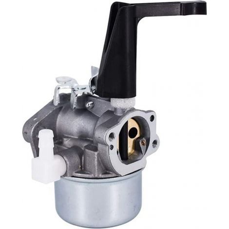 Carburateur pour 696065 697422 110402 215369 de Rechange Moteur Motoculteur (1/5)