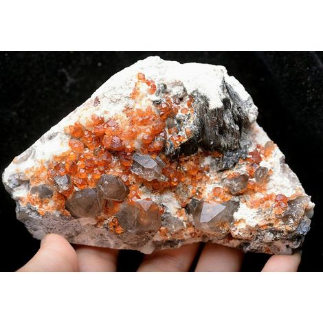 410,3 g de Grenat de Quartz Naturel. Spécimen de mica Collections de la Maison (1/5)
