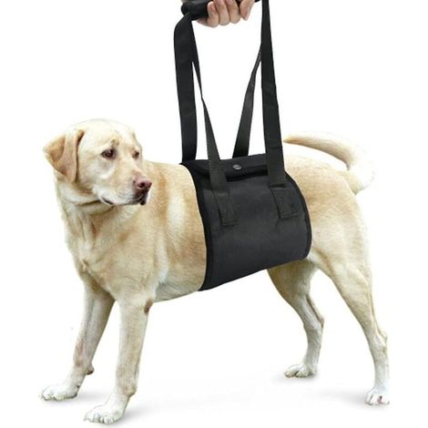 Harnais de soutien pour la rééducation canine des chiens souffrant de faiblesse des pattes arrière (1/5)