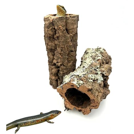 BioCork Tube M Korkeichenrohr (1/5)