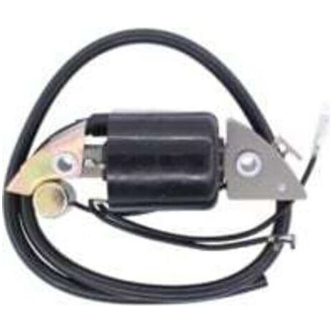 Bobine d'allumage pour moteur Hon-da G150 G200 G300 G400 30500-887-303 30560-883-015-- (1/4)