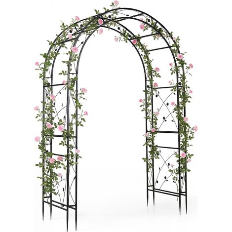 Arche de Jardin en Métal pour Plantes Grimpantes Treillis Extérieur avec Toit Incurvée, Support Rosier, Tuteur Décoration , 138 x 59 x 213 cm (1/5)