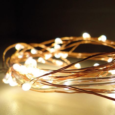 Ghirlanda fissa a batteria 40 LED Cavo in filo di rame Luce bianca calda 2,20 m