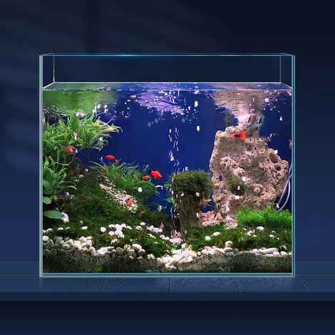 25L Ultra Clear Rimless Glass Aquarium with Lid, Ring, and Feeding Ring for Nano Betta Fish (1/5)