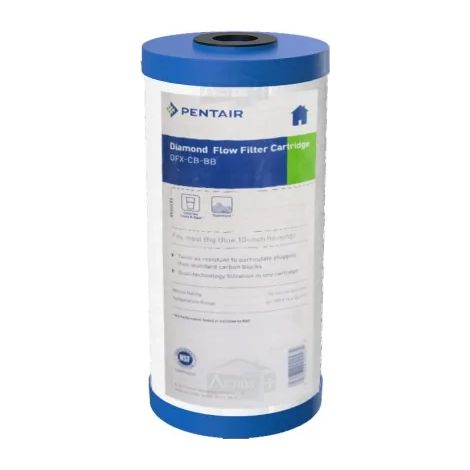 Filtre Big Blue Pentair DFX Chlore et Sédiment
