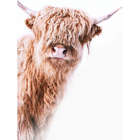 Papier peint panoramique marron et blanc Tapisserie panoramique motif vache Papiers peints panoramiques animaux pour chambre (1/2)