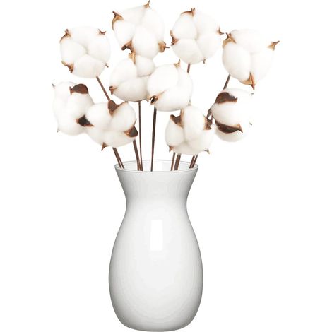 10 Pack Fleurs de Coton Sechee Naturelle Fleurs Sechees Tige Coton Fleur Naturel Fausses Branches Coton Fausses Plantes Décoration pour Balcon Maison Table Composition Florale (1/5)
