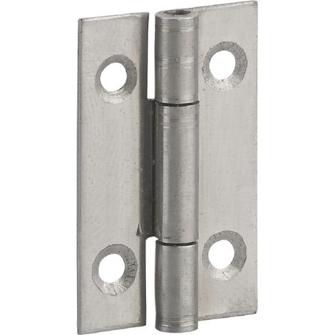 Cerniera per porte, 50x30mm, acciaio inossidabile 309 - THIRARD