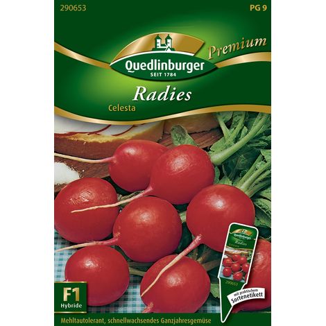Quedlinburger Saatgut – Radis Celesta – Graines de légumes, grosses racines rondes rouges, résistant à l'éclatement (1/2)