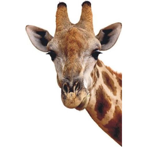 Giraffe, intissé photo mural, 90 x 202 cm, 1 part (1/3)