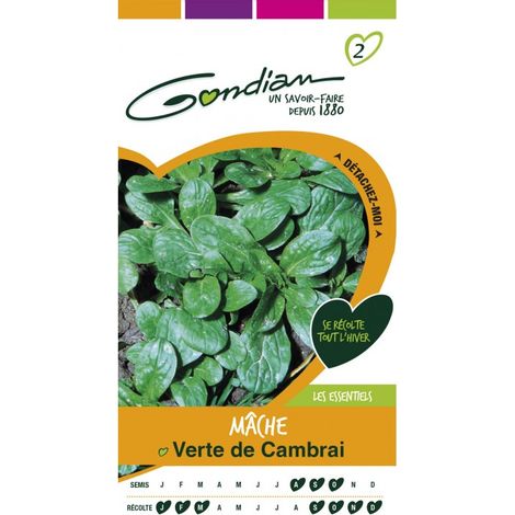 Gondian - Mache Verte de Cambrai (1/4)