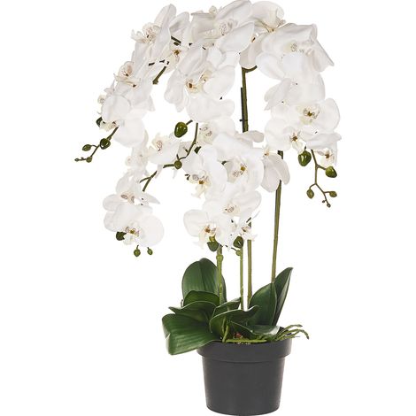 Artificial Plant ORCHID 63 cm White (1/5)