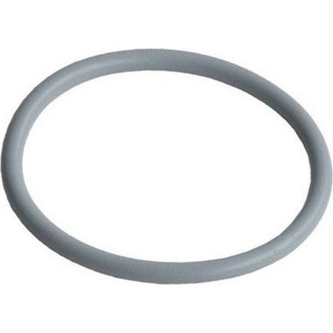 Joint bac à filtre d'origine Lave-vaisselle 481246668503 WHIRLPOOL