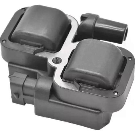 Bobine d'allumage externe 2876049 4010425 pour Polaris Ranger RZR 800 900 1000 XP EFI 2005---JXLGV (1/5)