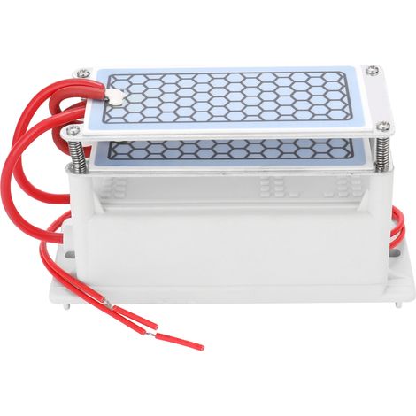 Generador de ozono cerámico portátil de 10 g/h, ozonizador de doble placa integrado, purificador de aire y agua. (1/2)