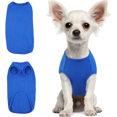 T-shirt pour chien – Pull tricot doux extensible pour petits chiens, t-shirt rayures pour mini chihuahua, yorkshire terrier (bleu saphir, taille XXS) (1/5)