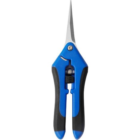 1 Pcs Sécateur Bleu de Jardin Professionnel Ciseaux Jardinage de Haute Précision avec Lames en Acier Inoxydable