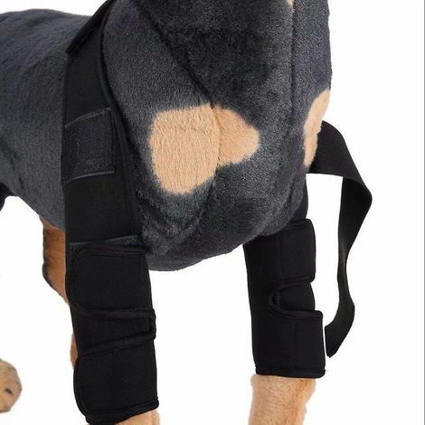 Housse de protection pour chirurgie canine. genouillères. protège-jambes (L noir) (1/3)