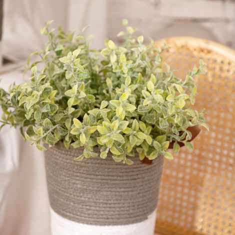 Fleur Artificielle - Herbe D'Eucalyptus Flockée - Décoration Intérieure Réaliste - Sans Entretien - 35 cm - 1 Pièce (1/5)