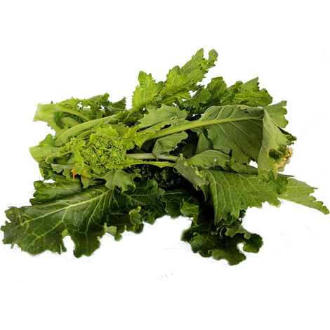 Semi di cima di Rapa "Leccese sessantina cima grossa" piante per orto e giardino