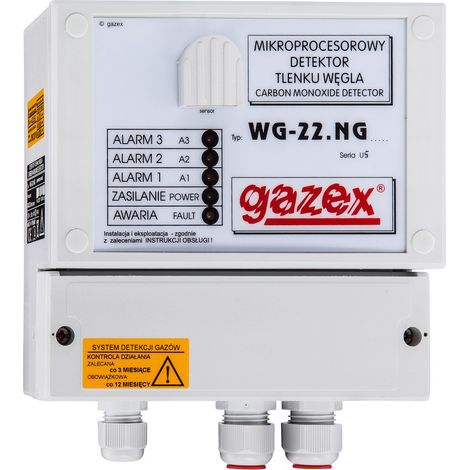 Rilevatore di monossido di carbonio WG-22.NG CO, 20/100 ppm (s15), sensore p-p, alimentazione 2