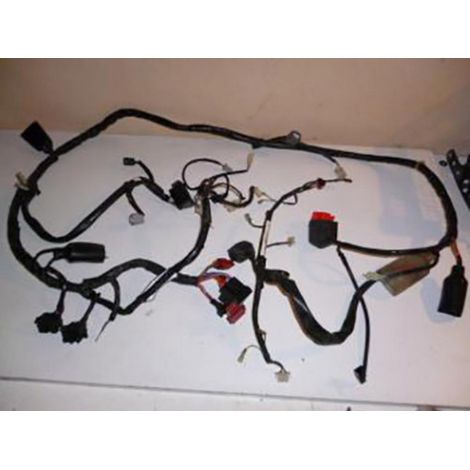 [PRODUIT D'OCCASION] Faisceau électrique origine pour Scooter Honda 125 Pantheon Après (1/4)