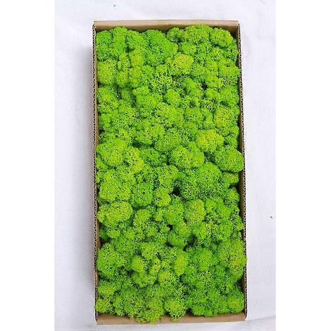 Décoration murale en mousse préservée. Véritable mousse préservée. Aucun entretien requis. Mousse naturellement préservée - Vert fruit. (1/5)