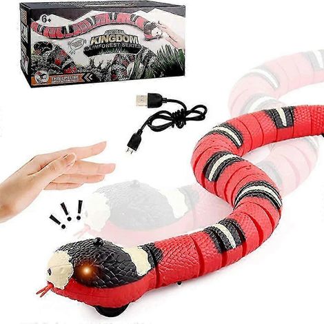 Jouet pour chat rechargeable par USB avec capteur (1/5)