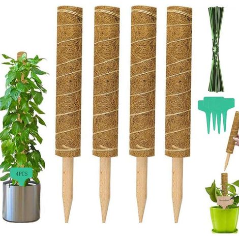 Tuteur Plante Grimpante 4 Pièces Bâton de Coco de 30cm avec 4 Étiquettes de Plantes et 100 Câbles Plantes pour Plantes Grimpantes Poteau de Mousse Support Tuteur en Fibres de Mousse de Coco (1/5)