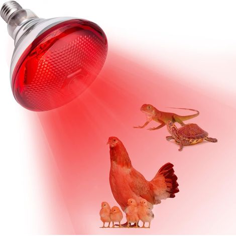 Ampoule Infrarouge Chauffante E27, 250W Lampe Chauffante Reptile, Lampe Chauffante Rouge pour Reptiles, Ampoule Infrarouge Chauffante, pour Chiot, Poussin,Tortue, Serpent, Hamster (1/5)