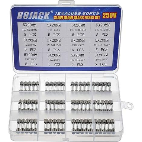 60 Pieces Assortment of Glass Fuses 5 x 20 mm 250V T0.5A 1A 1.25A 1.6A 2A 2.5A 3A 3.15A 4A 5A 6.3A 10A Packaging in Transparent Plastic Box (1/5)