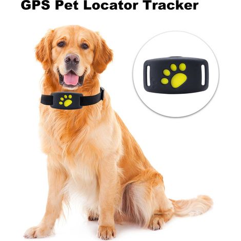 Appareil GPS localisateur traqueur anti traqueur collier pour animal de compagnie chien étanche avec GPS sans fil capteur GPS (1/5)