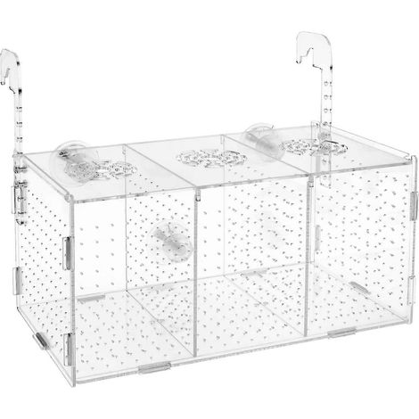 Aquarium d'élevage - 30 x 15 x 15 cm, boîte d'élevage en acrylique pour poissons d'aquarium, aquarium d'élevage transparent, incubateur pour petits guppys et crevettes. (1/5)