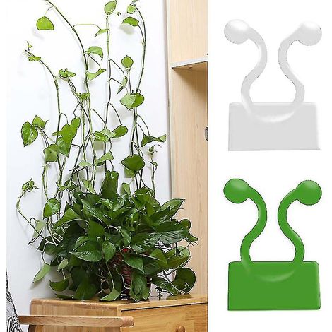 18 clips invisibles pour plantes grimpantes, fixation murale, crochets adhésifs L (1/5)