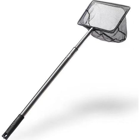 Seetangnetz – Rechteckig 25 x 20 cm – Verstellbarer Griff 50 bis 84 cm – Edelstahlgriff – 1 Stück (1/5)