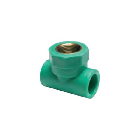 RACCORDO A T FILETTATA FEMMINA IN PPR PN25- - F ø mm.25x3/4x25 - 5 pezzi ATP