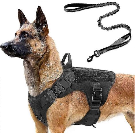 Filiyano-Harnais tactique pour chien et laisse élastique de 1,2 m, harnais militaire pour chiens de grande et moyenne taille, chasse, entraînement (1/5)
