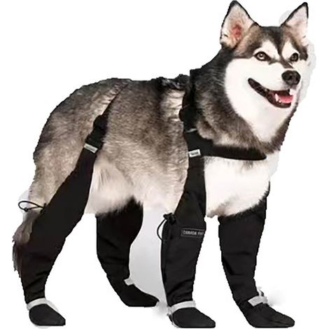 Chaussures pour chien ajustables avec bretelles, protège-pattes imperméables, antidérapantes, type B, très grandes (1/3)