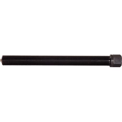 Vite di pressione,27mm,G3/4"x14Gx180mm (1/2)