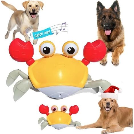Jouet Interactif - Crabe - Mouvement Latéral - Sons Amusants - Rechargeable USB - Jaune (1/4)