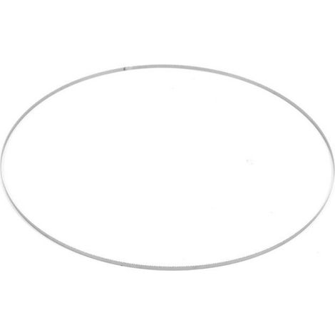 Lame De Scie A Ruban - Acier A Ressort SK5 - 1400 Mm X 6 35 Mm X 0 35 Mm - 10 Dents Pouces - Pour Bricolage (1/5)