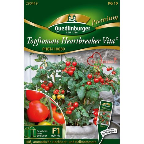 Quedlinburger Saatgut – Tomate en pot Heartbreaker Vita – Graines de légumes, fruits en forme de cœur, hauteur 30-40 cm (1/2)