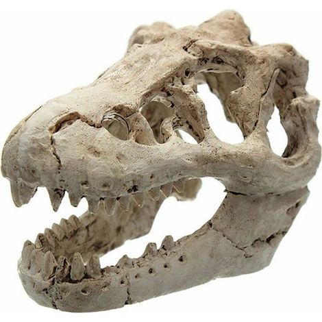 Dinosaurierschädel-Aquarienornament, Dekoration für Aquarien (1/5)
